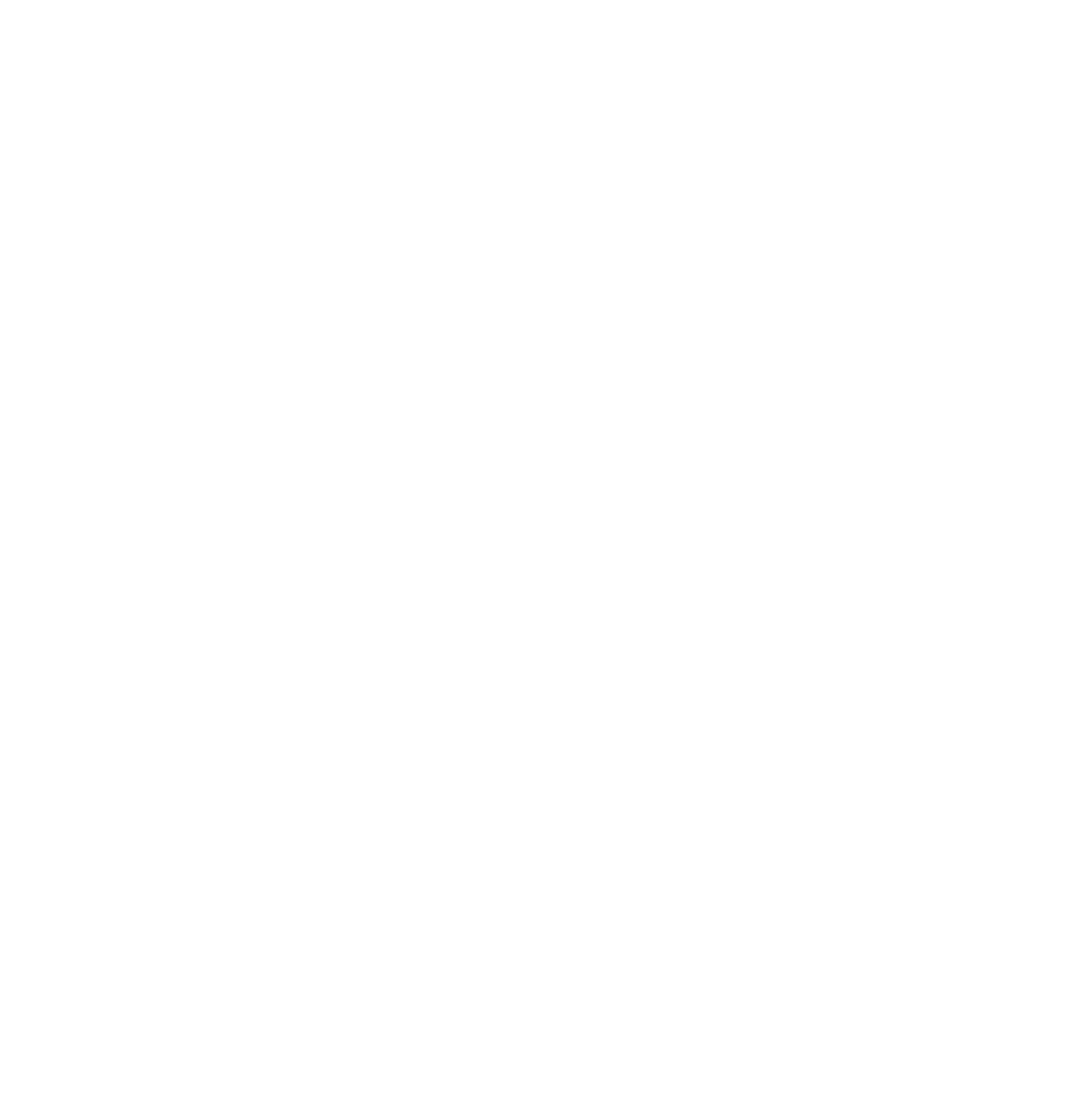 SCIEN LLC logo